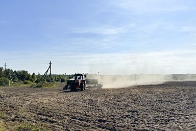 Под урожай будущего года озимый сев в Ивановской области увеличен почти на 2 тысячи гектаров