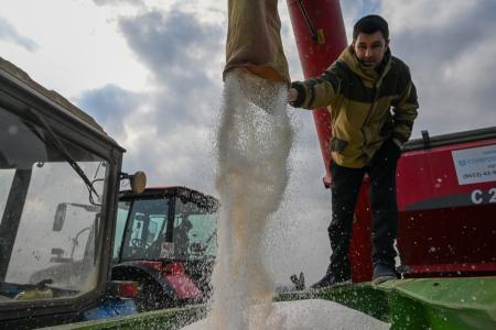 На Ставрополье закрыта потребность в минеральных удобрениях для первой азотной подкормки