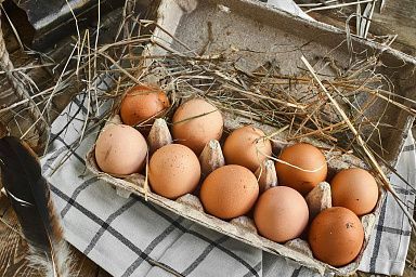 Более 890 млн штук яиц произведено в Саратовской области за 11 месяцев этого года