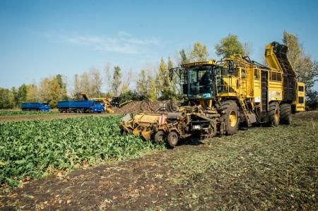 В Башкортостане на переработку отправлено 161 тыс. тонн сахарной свеклы