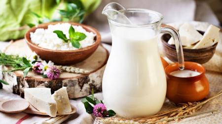 В Республике Мордовия суточный надой молока на одну корову превысил 20 кг