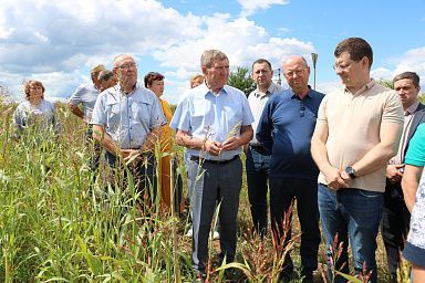 Строительство животноводческого комплекса на 625 голов началось в Нижегородской области при господдержке