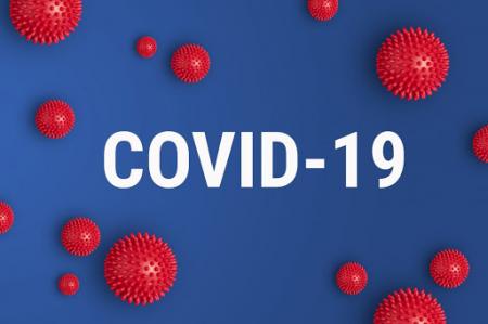 Исследуем упаковку и животных на COVID-19