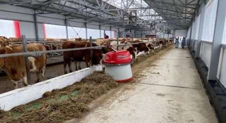 В Саратовской области идет активная техническая и технологическая модернизация отрасли животноводства