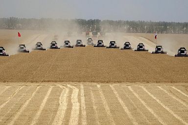 На Дону собрано более 7 млн тонн зерна нового урожая