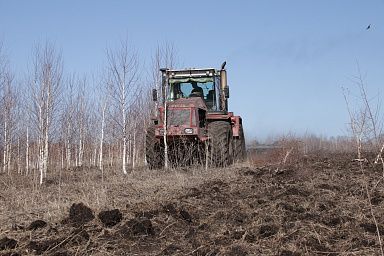 Аграрии Кузбасса получили 50 млн рублей за освоение неиспользуемых земель