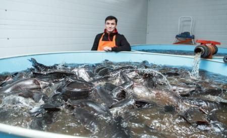 Более 20 тонн рыбы произведено на подмосковной акваферме с начала года