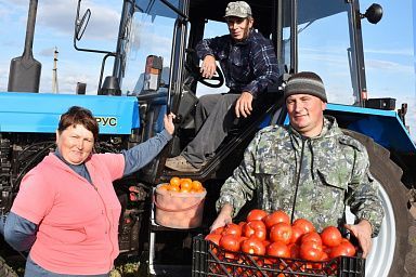 Свыше 300 млн рублей получат малые формы хозяйствования Липецкой области в следующем году