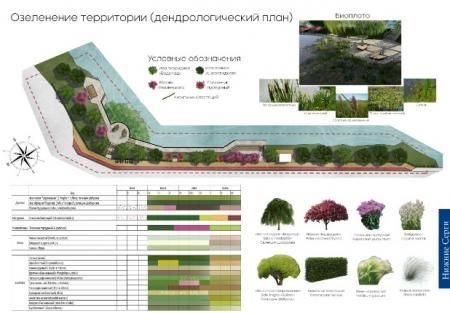 Студенты Уральского ГАУ стали победителями конкурса «Проекты городских пространств»