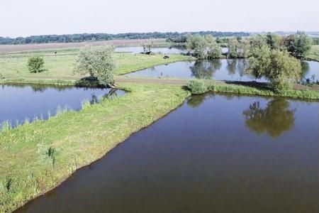 К зарыблению новых прудов приступили в подмосковном хозяйстве