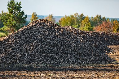 Более 4 млн тонн сахарной свеклы собрано в Липецкой области