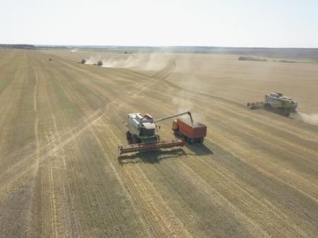 В Пензенской области собрано более 2 млн тонн зерна