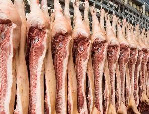 В России сформировался устойчивый тренд роста оптовых цен на свинину