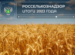 Итоги 2023: Экспорт зерна, государственный мониторинг качества, борьба с недостоверным декларированием