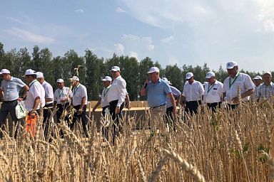 В Башкортостане собрано более полумиллиона тонн зерна