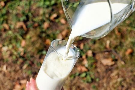 Предприятия Красноярского края увеличили экспорт молочной продукции