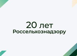 Видео: Россельхознадзору – 20 лет: сотрудники говорят о значении работы службы, о том, как важна ее деятельность