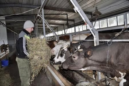 Липецкие фермеры и кооперативы получат в текущем году более 230 млн рублей господдержки
