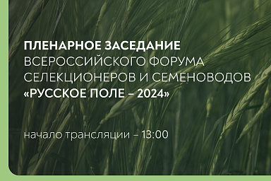 Прямая трансляция пленарного заседания форума «Русское поле – 2024»