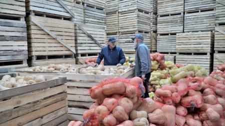 Замруководителя Минсельхозпрода Дагестана ознакомился с деятельностью плодоовощехранилища СПоК «Стимул»