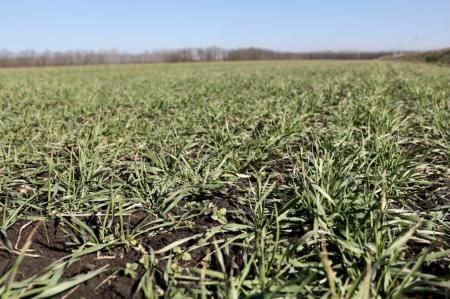 В Краснодарском крае в 2022 году на мониторинг плодородия почв направят 20 млн рублей