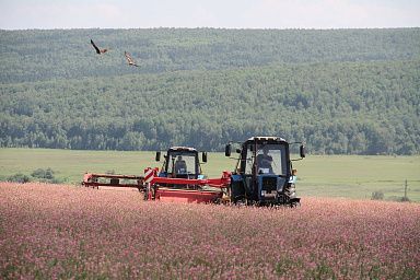 Сельхозкооперативы Красноярского края получили на технику и оборудование более 126 млн господдержки