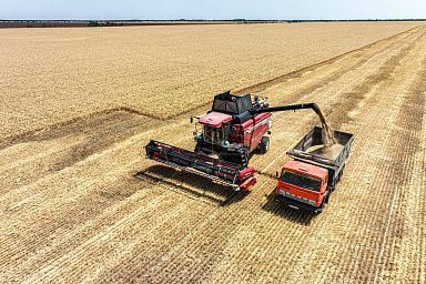 В Херсонской области началась уборка ранних зерновых