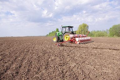 Озимыми культурами засеяно более 80% посевных площадей