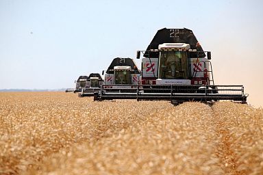 Аграрии Ростовской области собрали урожай ранних зерновых более чем с 20% уборочных площадей