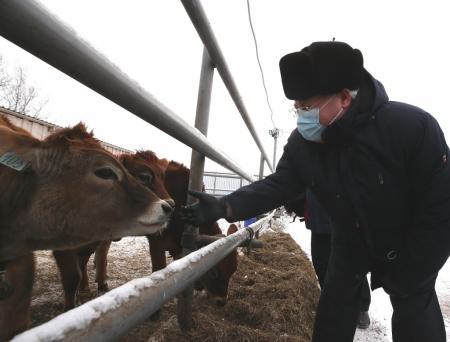 Молочно-сырный комплекс в Томской области наращивает производство