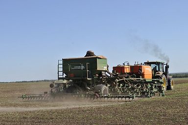 Аграрии Ростовской области засеяли озимыми почти 1,6 млн гектаров