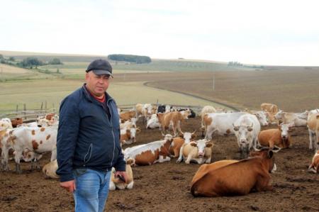 Башкирские фермеры получили 253 млн рублей на развитие семейного дела