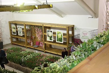 В Томской области в агрокомплексе «Трубачево» открылся садовый центр