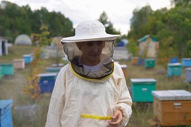 Башкирские пчеловоды в 2022 году получили 14,5 млн рублей господдержки