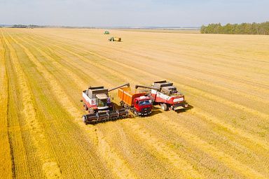 В Ивановской области зерновые убраны с 80% площадей