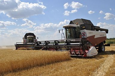 В Ростовской области собрано уже более 4,7 млн тонн зерна с более чем 40% уборочных площадей