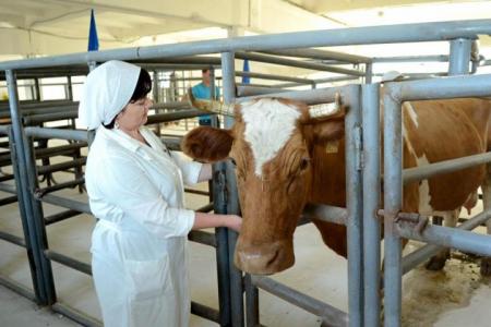 В Татарстане впервые пройдет Всероссийский конкурс зоотехников-селекционеров