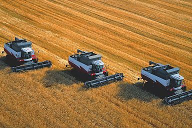К уборке озимых зерновых культур приступили пять муниципальных районов Саратовской области