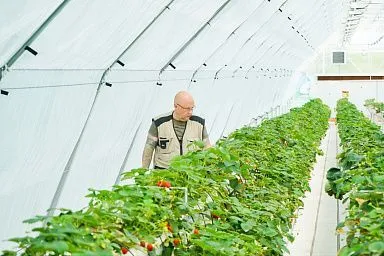 В Ивановской области стартует набор слушателей в «Школу фермера»