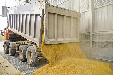 Производителям зерна в Ивановской области направят дополнительные средства господдержки