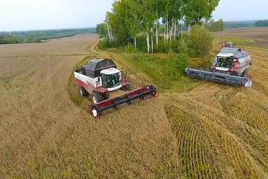 В Томской области продолжается уборочная кампания