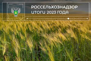 Предварительные итоги деятельности Управления Россельхознадзора по Челябинской и Курганской областям за 2023 год