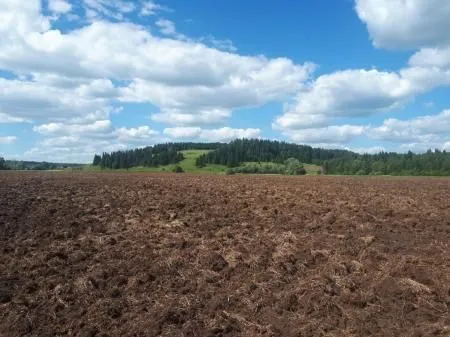 В Удмуртии восстановлено более 8 тыс. га сельхозземель