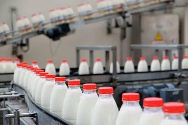 В Донецкой Народной Республике растет производство кисломолочной продукции