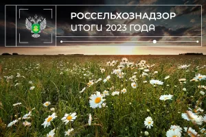 Предварительные итоги деятельности Управления Россельхознадзора по Тверской и Ярославской областям за 2023 год