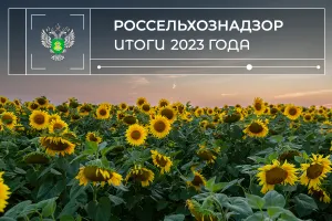 Предварительные итоги деятельности Управления Россельхознадзора по Забайкальскому краю за 2023 год