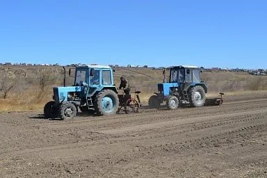 Посадка овощей в Забайкалье вдвое опережает прошлогодний уровень