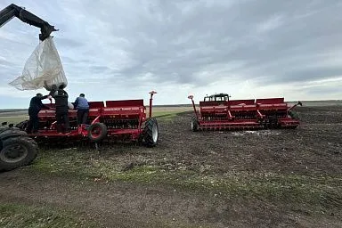 Сроки весеннего сева зерновых культур у аграриев Чувашии удлиняются из-за погоды
