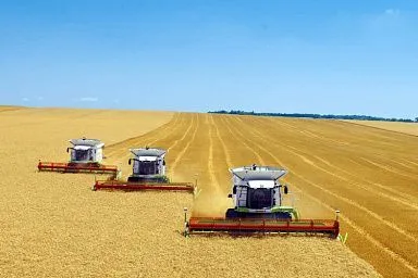 Аграрии Саратовской области планируют приступить к уборке зерновых в конце третьей декады июня