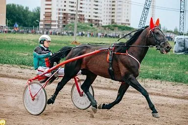 Второй раз в истории состоятся  соревнования по конному спорту на Кубок Главы Чувашии